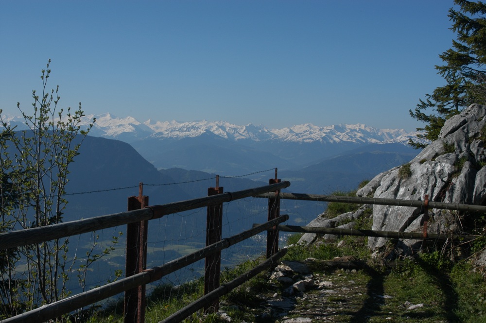 Blick vom Brünnstein in die Alpen